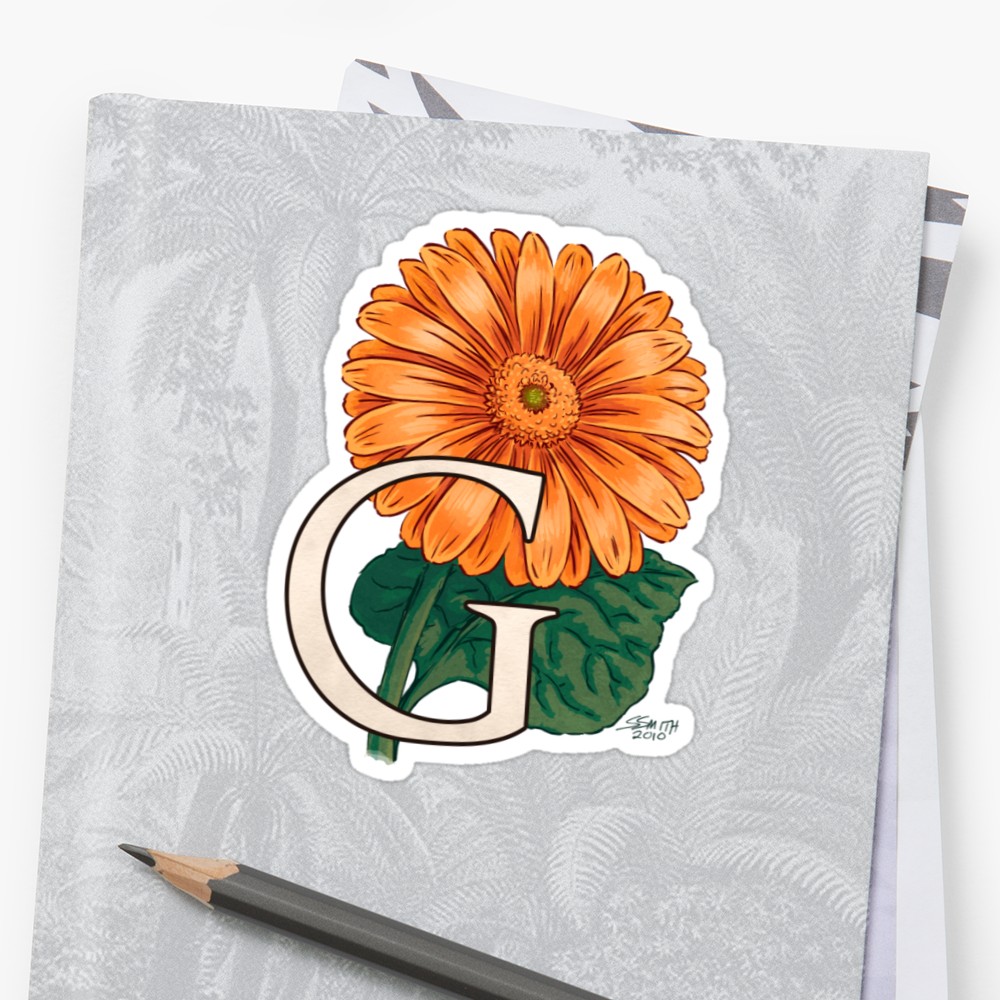 1000x1000 G Is For Gerbera