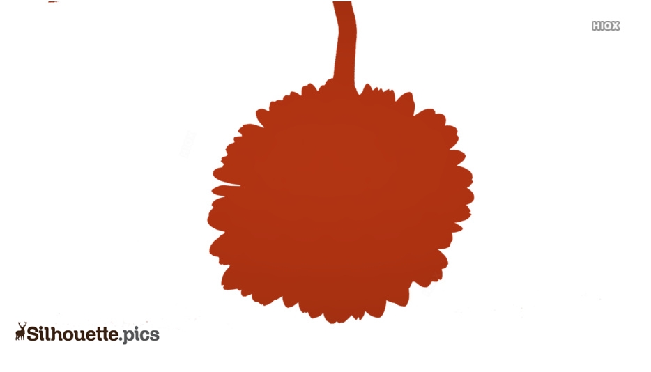 934x534 Gerbera Daisy Silhouette Drawing Silhouette Pics