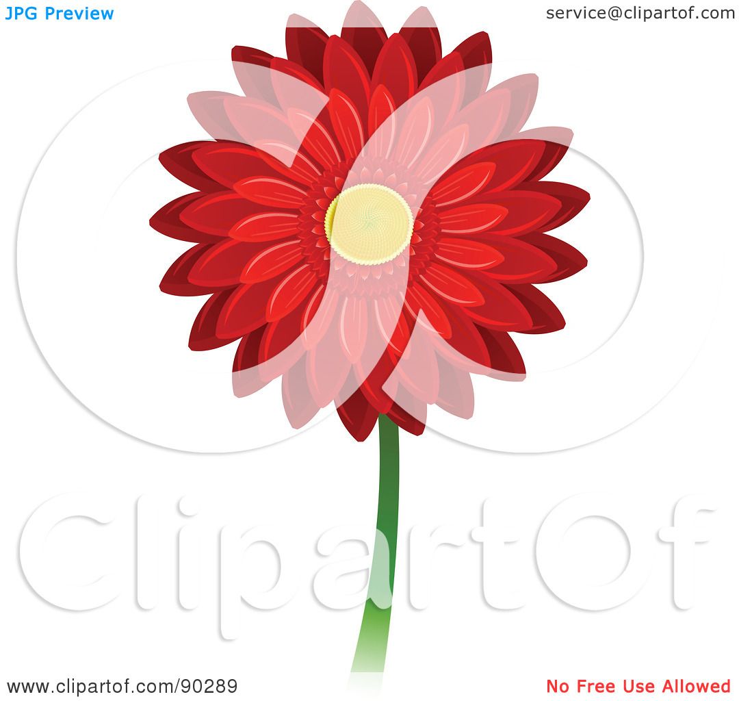 1080x1024 Simple Gerbera Daisy Drawing