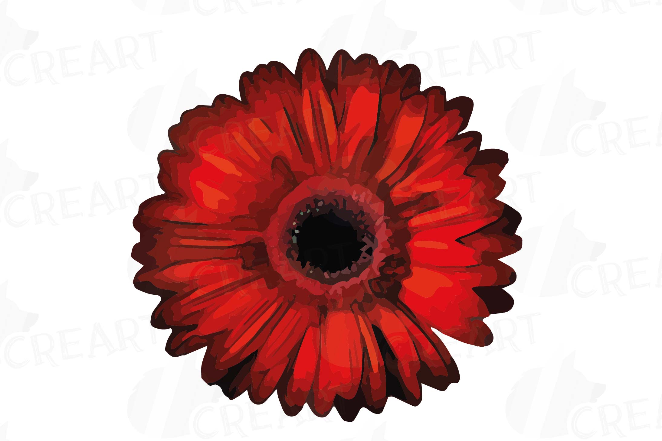 2188x1459 Watercolor Gerbera Daisy Clip Art Pack, Colorful Gerberas