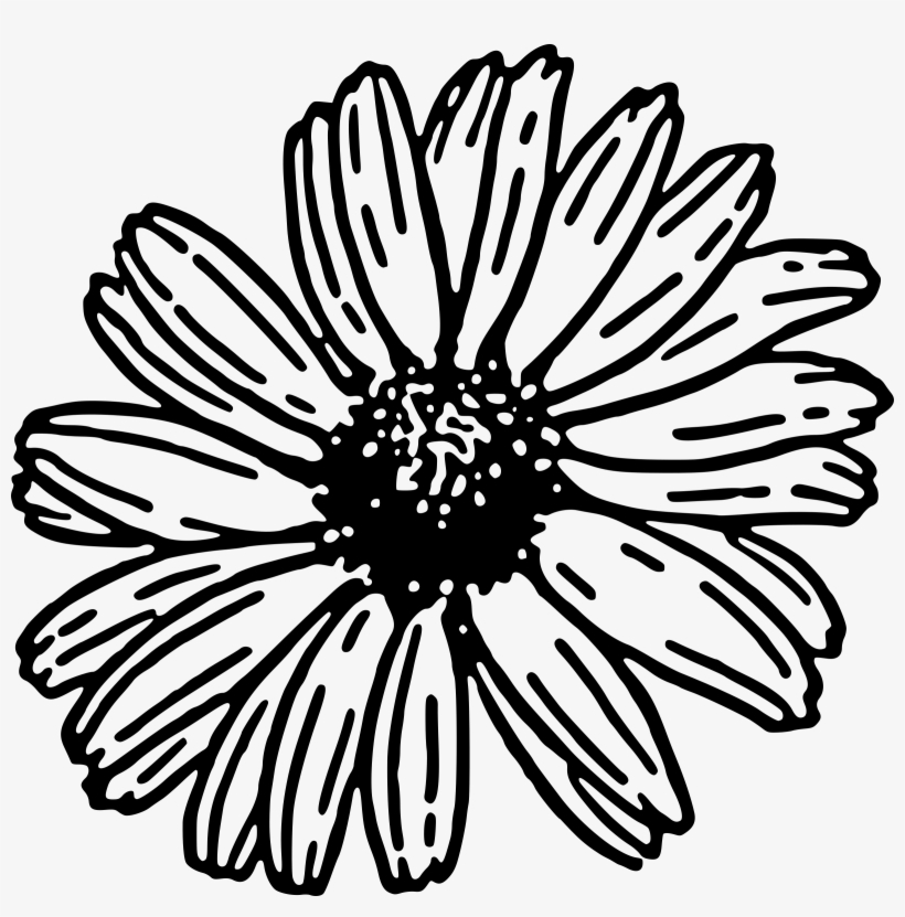 820x831 Daisy Clip Art