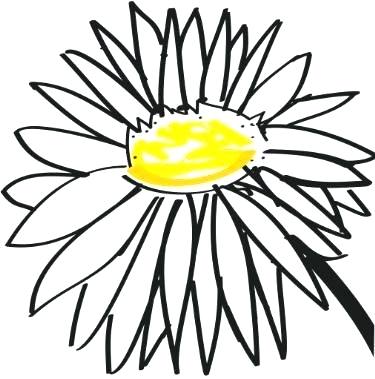 375x379 daisy drawing daisy ii daisy drawing simple