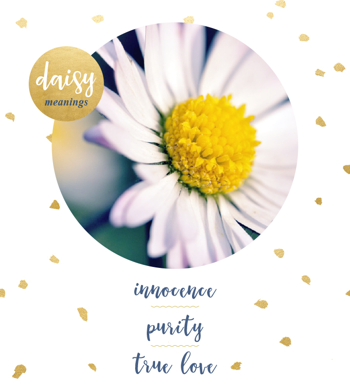 720x800 Daisy Meaning And Symbolism