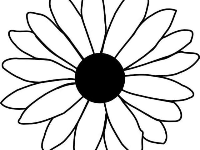 Gerbera Daisy Drawing Free Download On Clipartmag