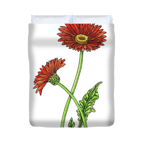 300x300 Gerbera Daisy Flower Botanical Drawing Duvet Cover For Sale