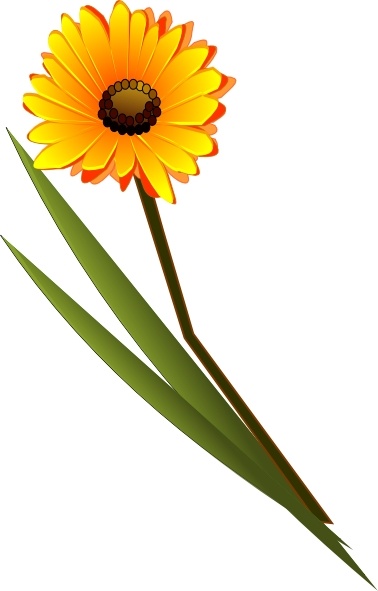 378x591 Gerbera Clip Art Free Vector In Open Office Drawing