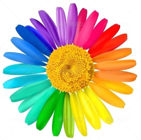590x584 Multi Colored Gerbera Daisies Vector Multicolored Daisy Flower