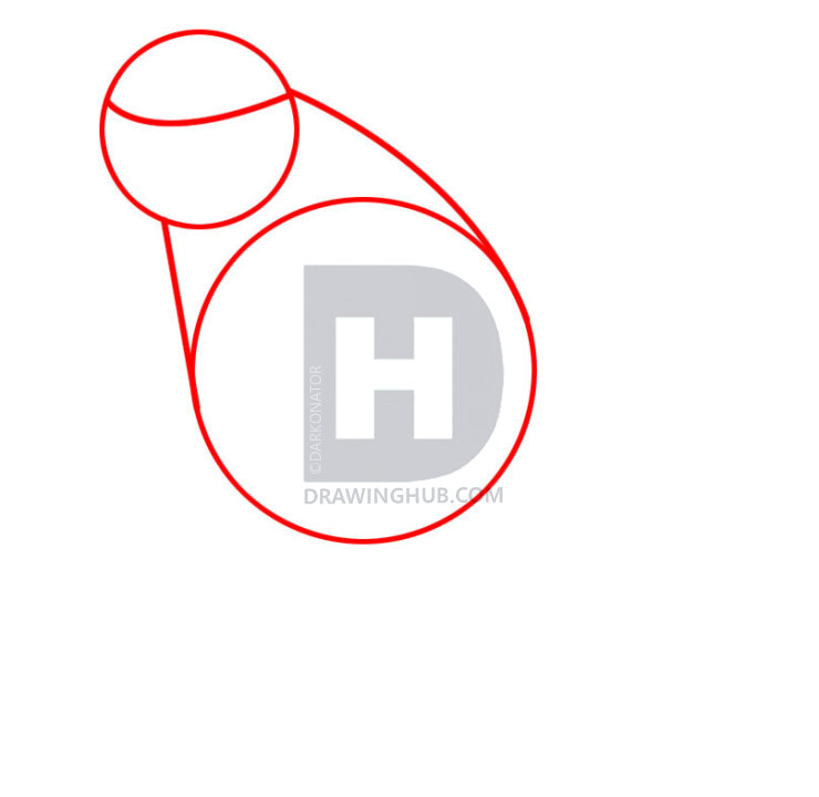 740x720 How To Draw A Gerbil, Step