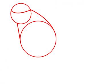 302x294 How To Draw A Gerbil, Step