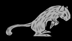 239x136 The World's Newest Photos Of Drawing And Gerbil