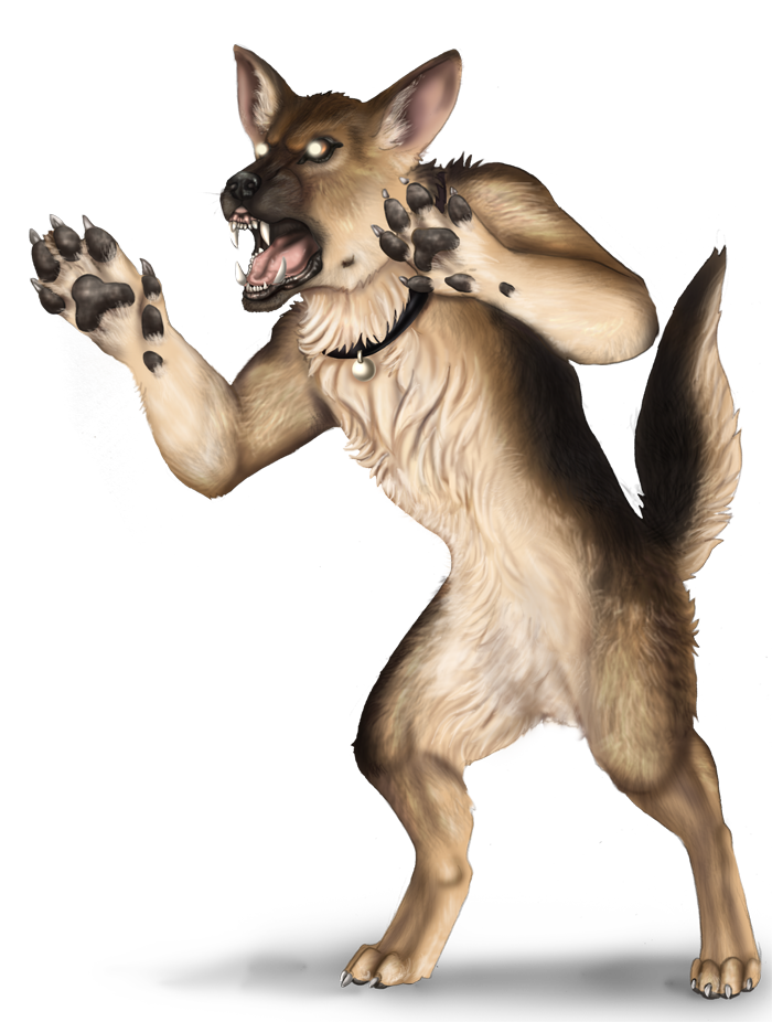 700x926 Drawing Furry German Shepherd Transparent Png Clipart Free