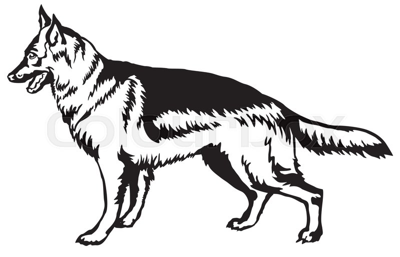 799x514 Decorative Portrait Of Standing In Stock Vector Colourbox