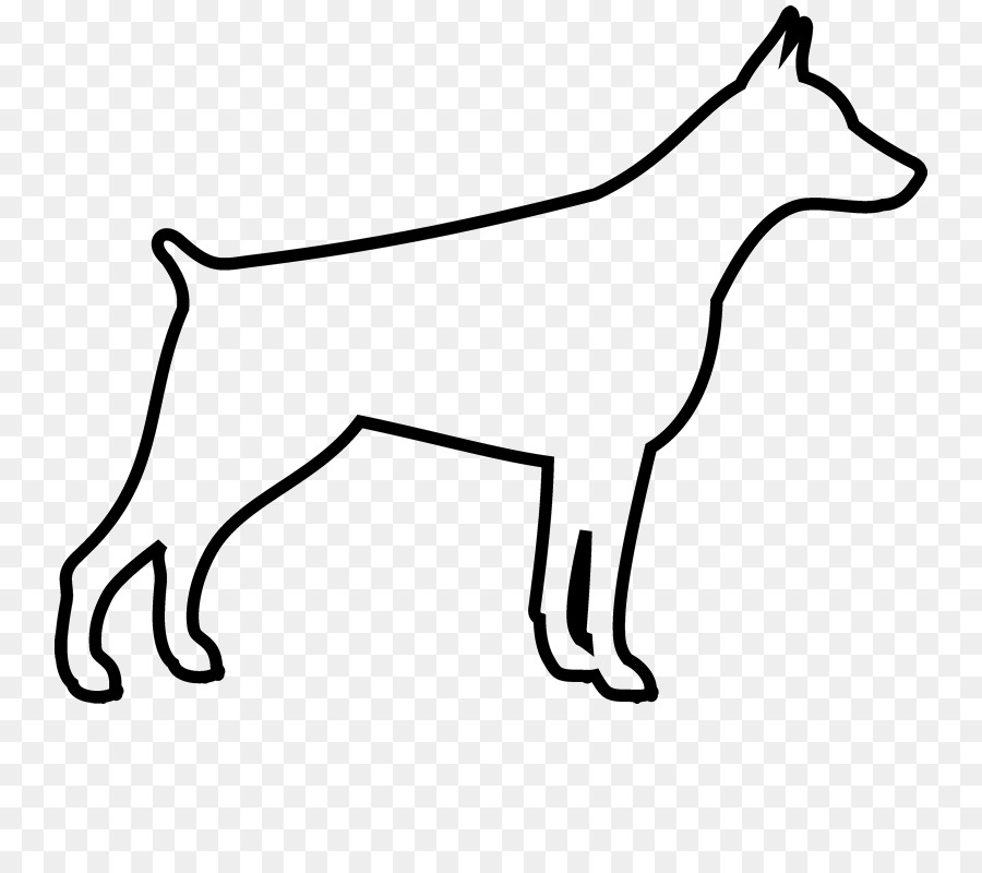 900x800 dog breed dobermann german shepherd miniature pinscher beagle