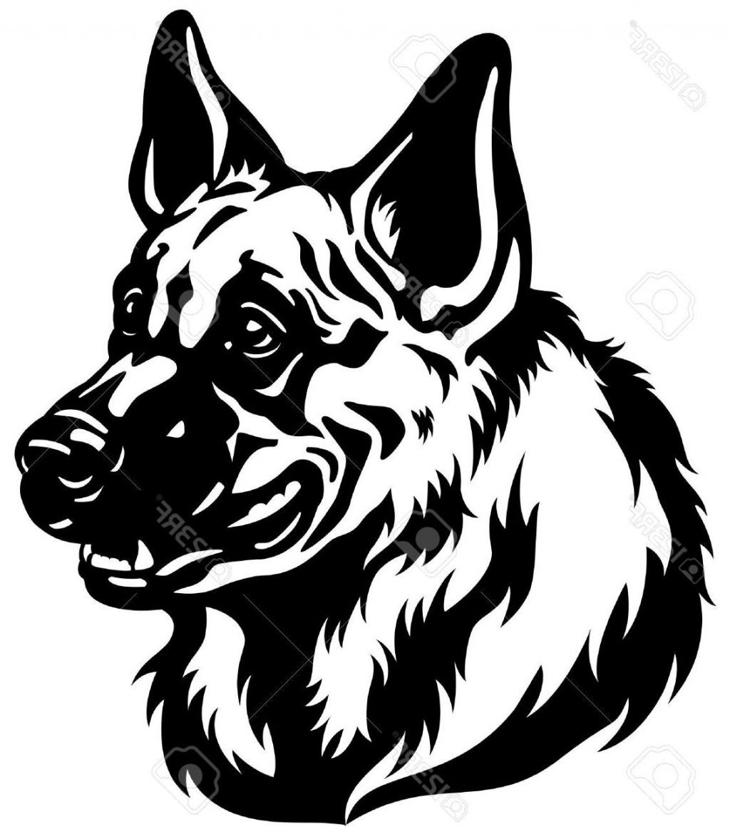 1024x1177 how to draw a german shepherd how to draw a german shepherd dog