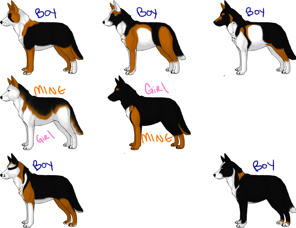 1019x784 Drawing Puppy German Shepherd Huge Freebie! Download