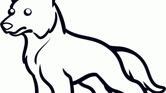 570x320 German Shepherd Drawings Pencil Simple