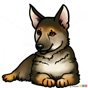 300x300 How To Draw Puppy, German Shepherd, Dogs And Puppies