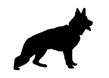 350x250 Germany Drawing German Shepherd Huge Freebie! Download