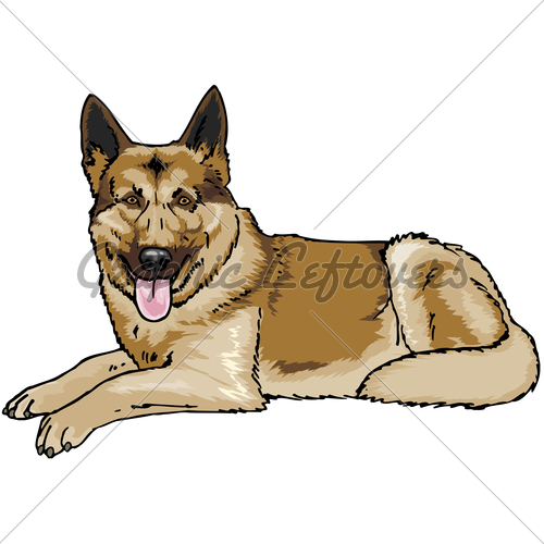 500x500 A East European Line German Shepherd Gl Stock Images
