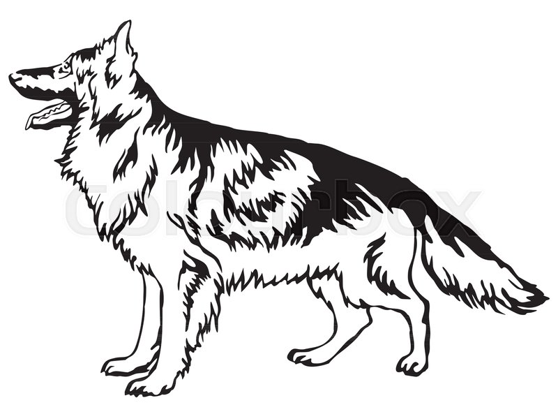 800x600 Decorative Portrait Of Standing In Stock Vector Colourbox