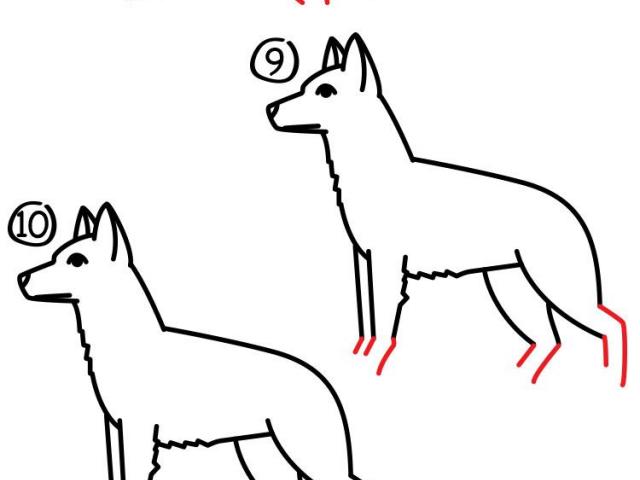 640x480 Free Drawn German Shepherd, Download Free Clip Art