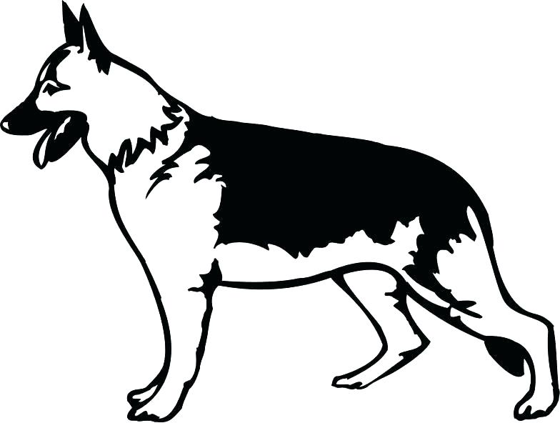 784x592 german shepherd pictures to print shepherd face drawing at free