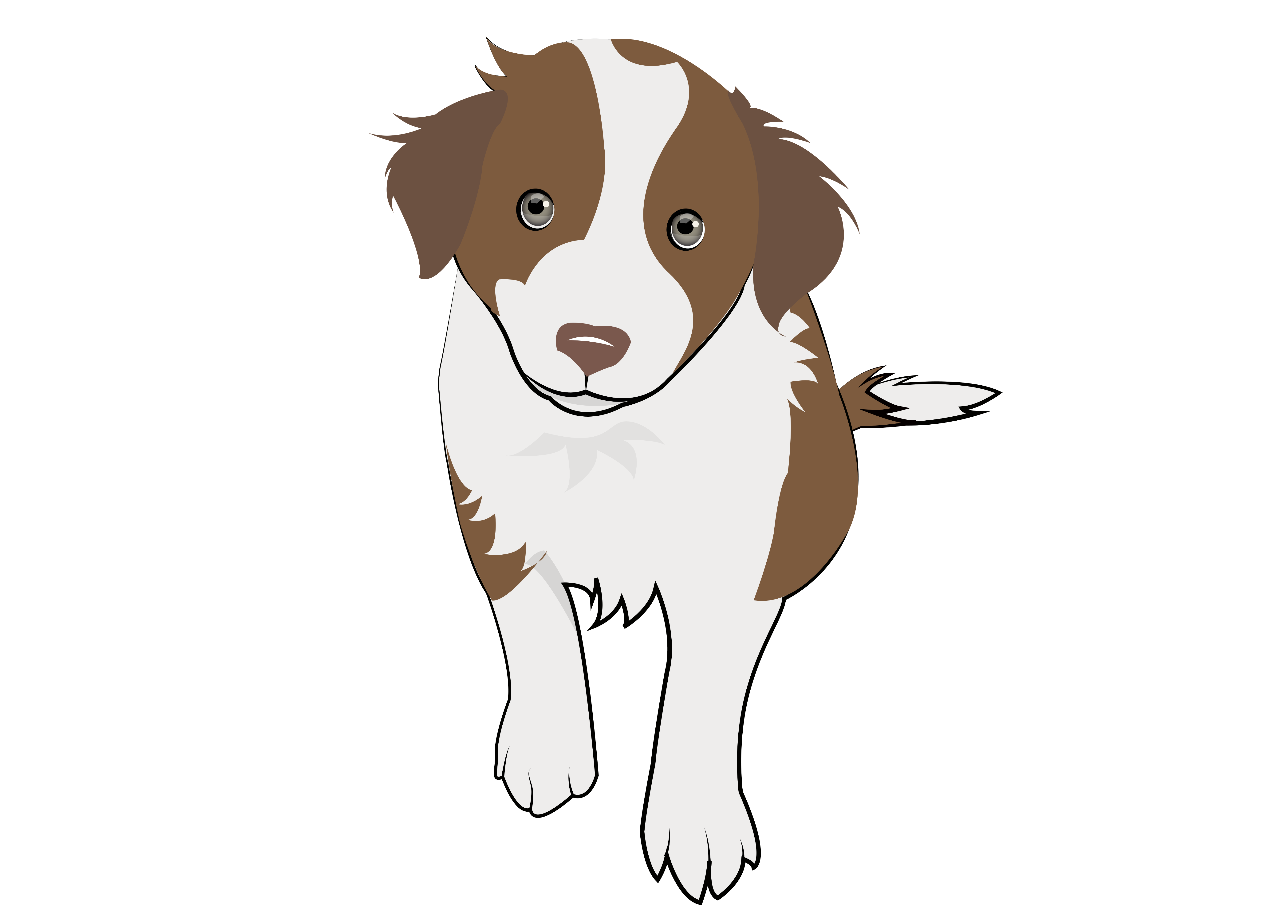 5479x3930 Collie Drawing Pencil Huge Freebie! Download For Powerpoint