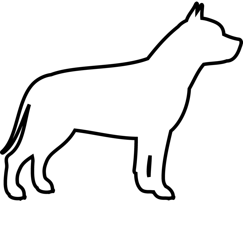 800x800 Doggy Drawing Pencil Transparent Png Clipart Free Download