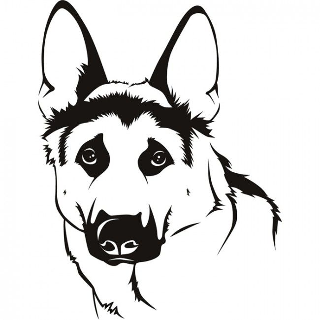 650x650 Easy Cartoon German Shepherd Front