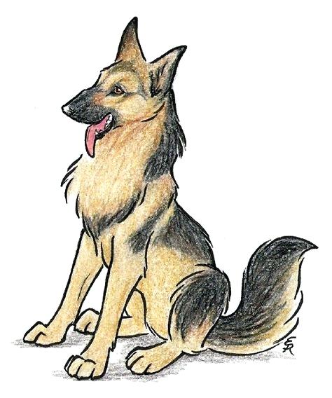 474x568 Drawing Dogs Shepherds Are One Of My Top Five Favorite Dog Breeds