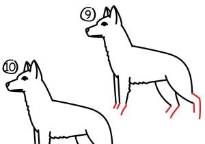 300x210 how to draw a easy german shepherd how to draw a german shepherd