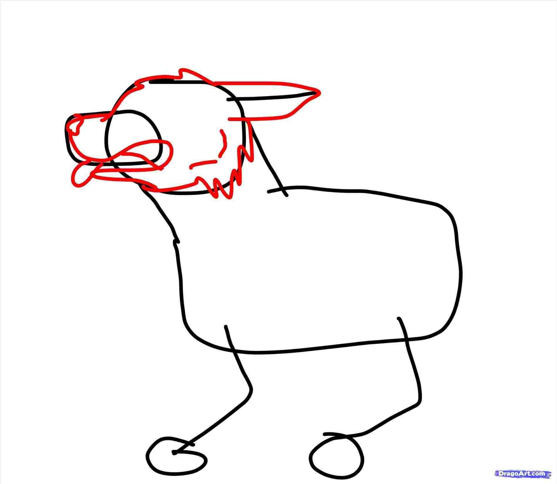 1899x1652 For Rhrockdrawcom Learn Dog Head Drawing Easy To Draw A German