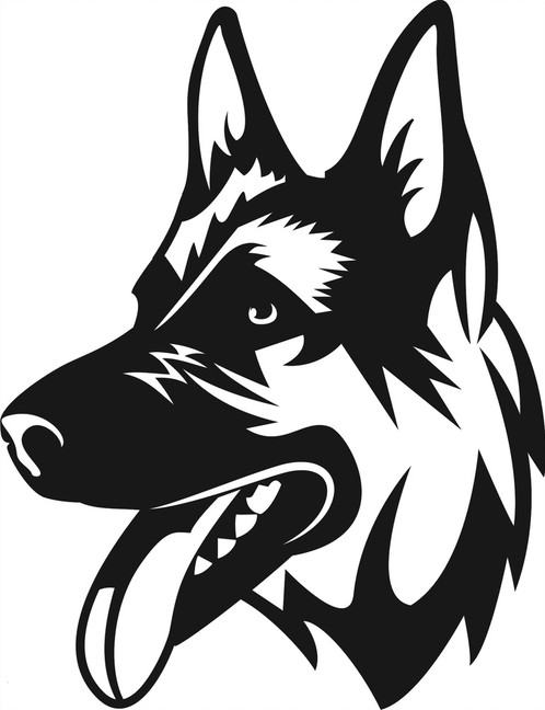 498x648 German Shepherd