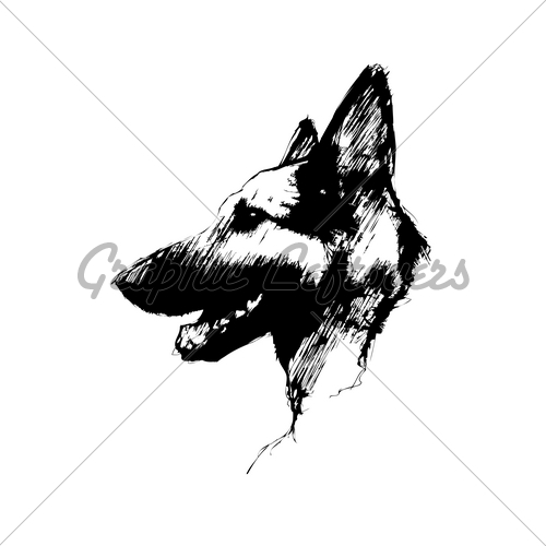 500x500 German Shepherd Dog Gl Stock Images