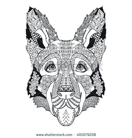 450x470 German Shepherd Doodle Spirit Puppy For Sale In Pa Cross Poodle