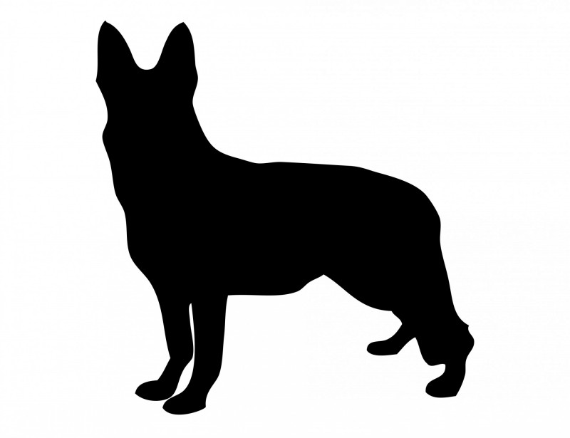 800x615 Little Full Black German Shepherd Figure Tattoo Design