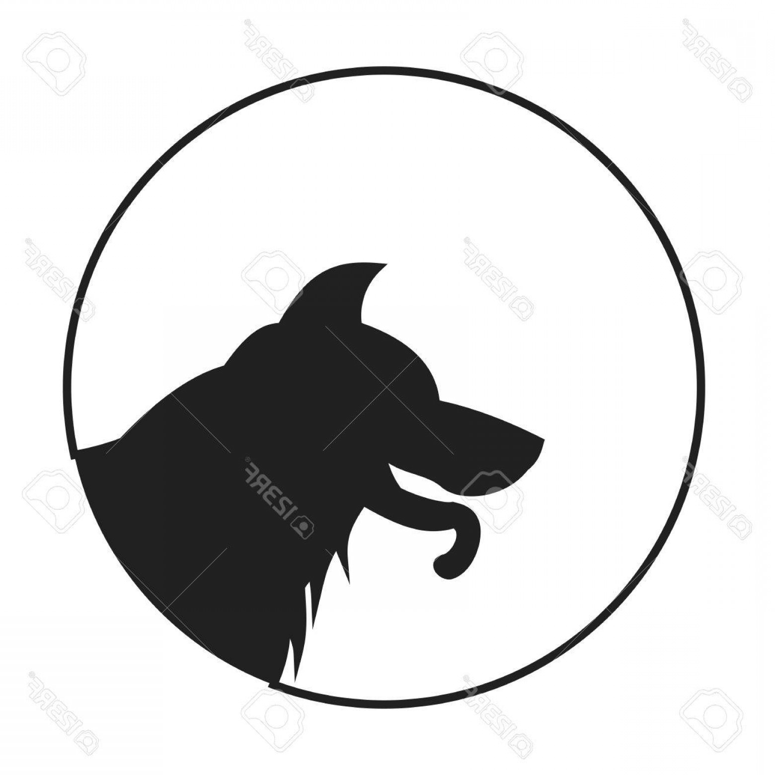 1560x1560 Photostock Vector Silhouette Of A Dog Head German Shepherd Animal