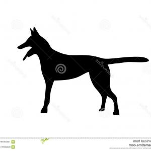 300x300 Stock Illustration Alabai Central Asian Shepherd Dog Vector