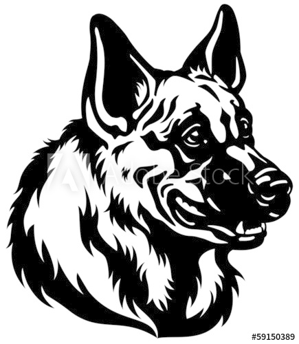 435x500 German Shepherd Head Black White