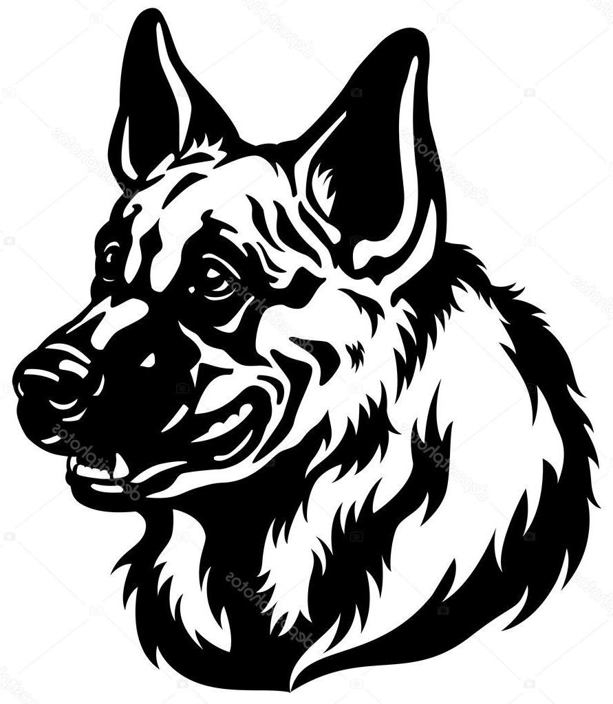 891x1024 Best Hd German Shepherd Vector Images Free Vector Art, Images