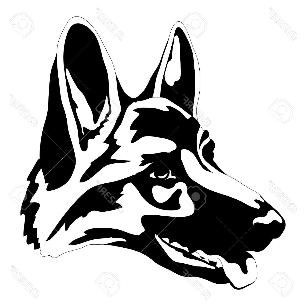 1300x1300 Collection Of Free Head Clipart German Shepherd Amusement