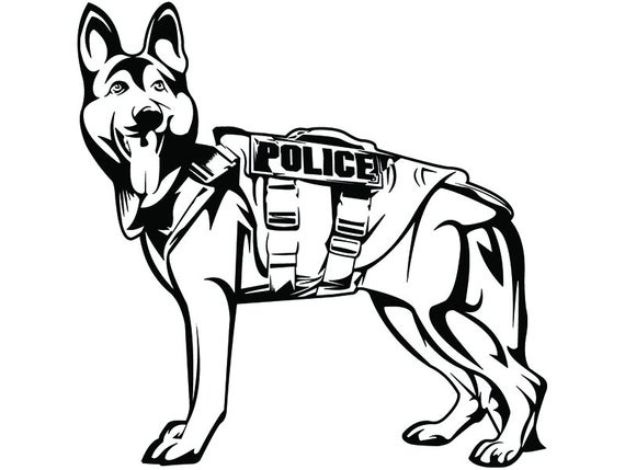 570x429 German Shepherd Dog Breed K Pet Police Cop Law Etsy