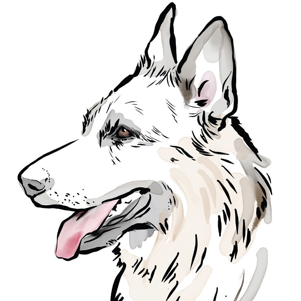 1024x1024 Personalised German Shepherd Dog Print Scribble Print Studio