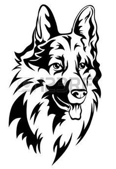 236x345 Stock Photo Long Haired German Shepherd, Dogs