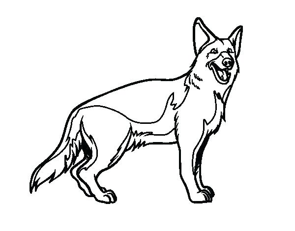 600x470 German Shepherd Puppy Coloring Pages Auchmar