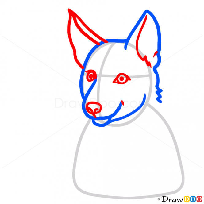 665x665 How To Draw Puppy, German Shepherd, Dogs And Puppies Drawing