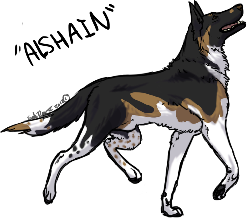 790x700 Collection Of Free Dogs Drawing German Shepherd Download On Ui Ex