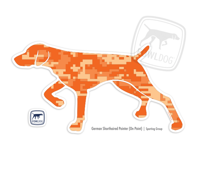 648x576 German Shorthaired Pointer