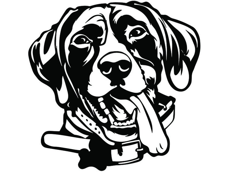 German Shorthaired Pointer Drawing | Free download on ClipArtMag