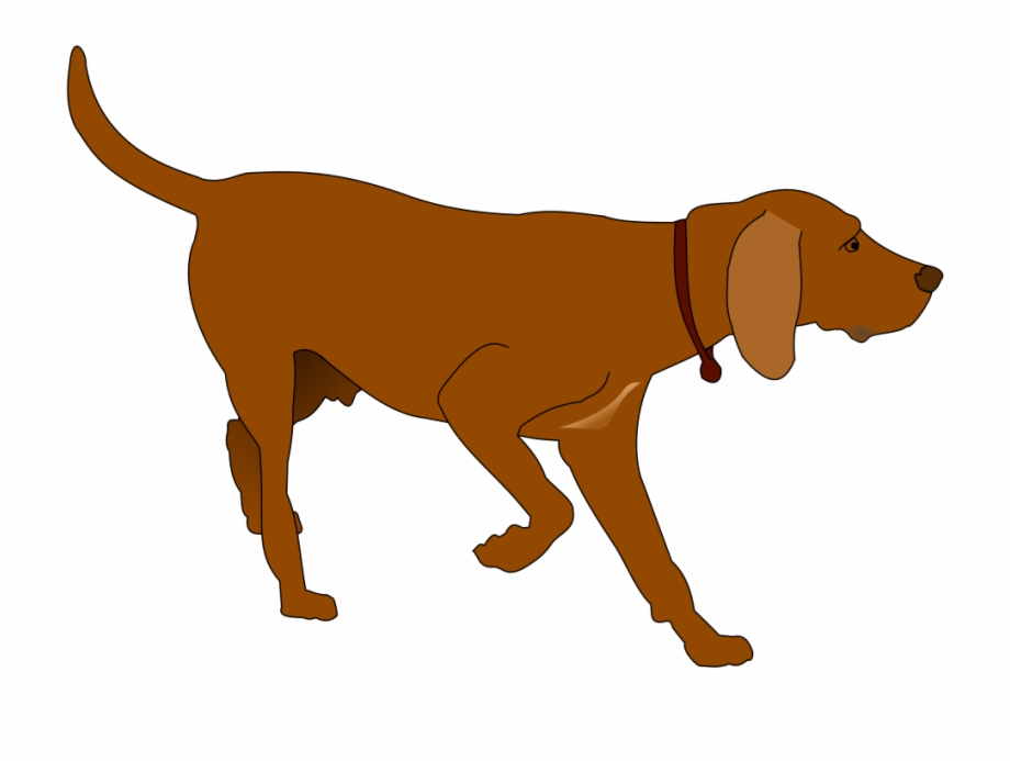 920x693 German Shorthaired Pointer Clipart At Getdrawings